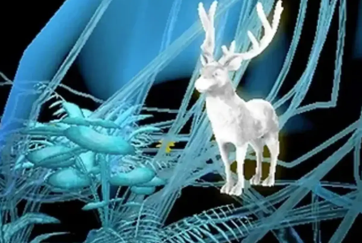 Bloom • Expérience immersive et interactive en animation 3D  