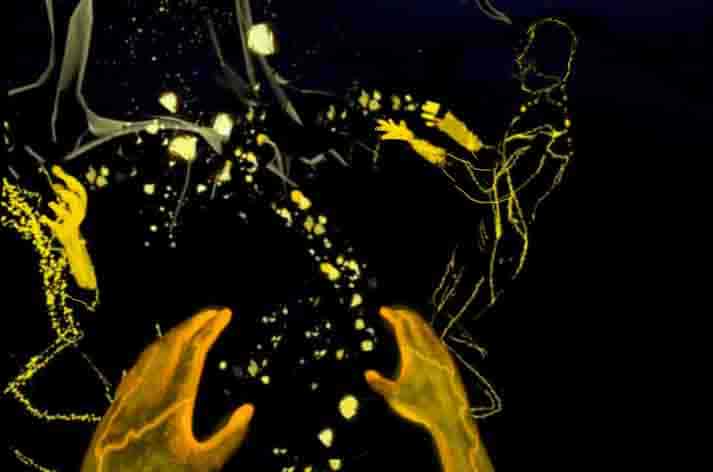 Let the forest in – and Bloom! VR collaborative – 6 spectateurs -on line